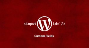 L’ajout d’un champs personnalisé en WordPress